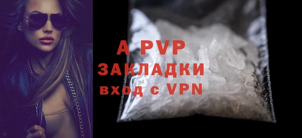 молекула духа Вяземский