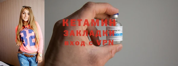 молекула духа Вяземский