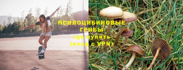 молекула духа Вяземский