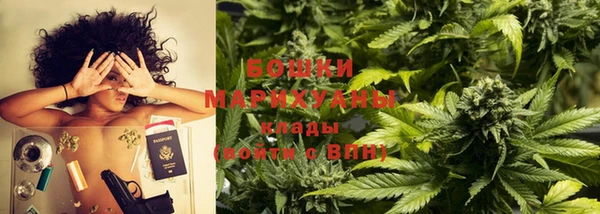 молекула духа Вяземский