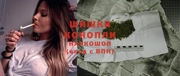 молекула духа Вяземский