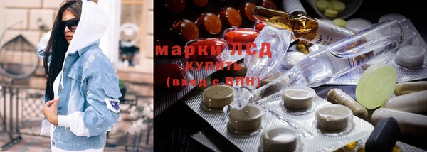 молекула духа Вяземский